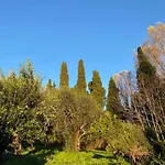 Eleni *