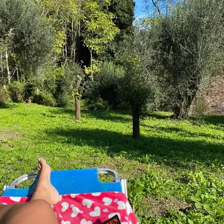 Eleni