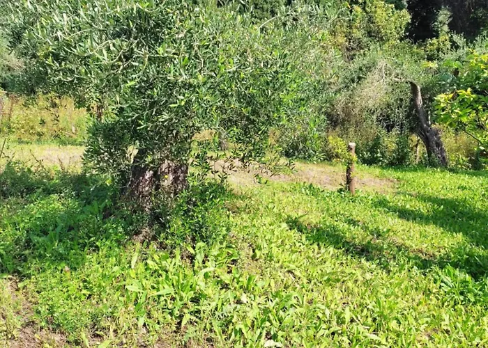 Villa Eleni